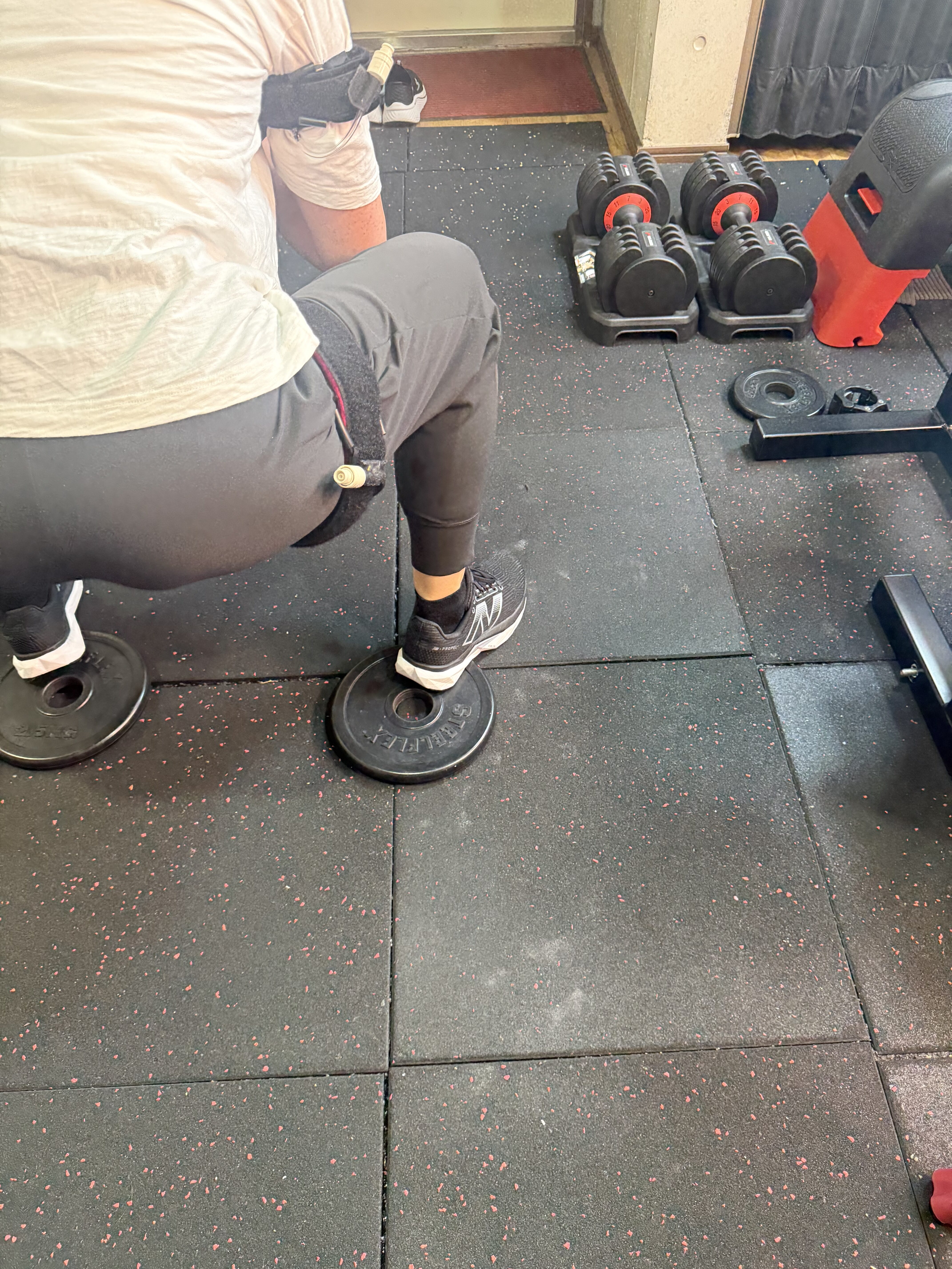 プレートスクワット